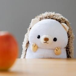 ⑤はりまるプロフィール - コピー.jpg