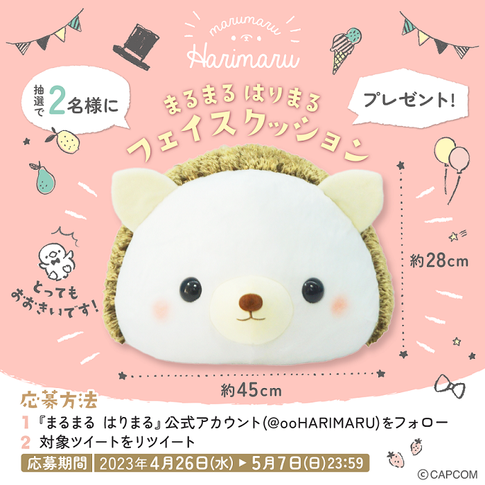 ④RTキャンペーン ※Twitter兼用.png