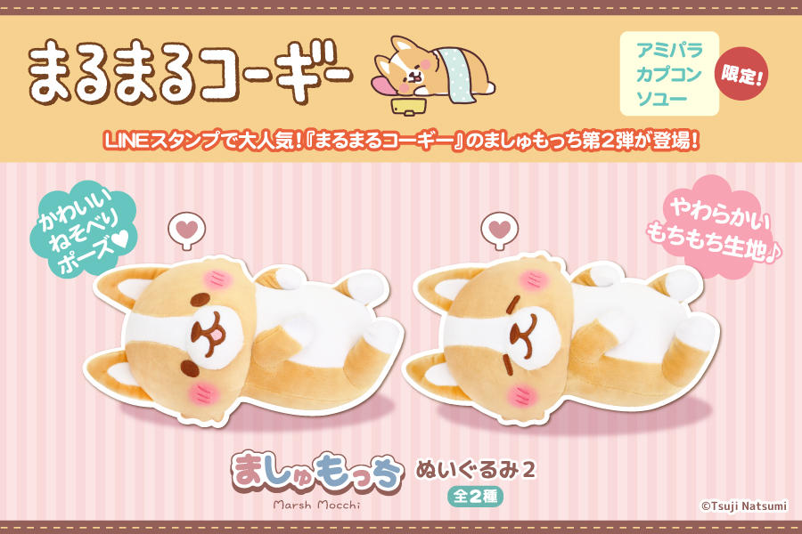 まるまるコーギーましゅもっち２_TOPIC02.jpg