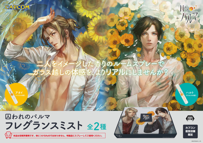 palm_op02.jpgのサムネール画像