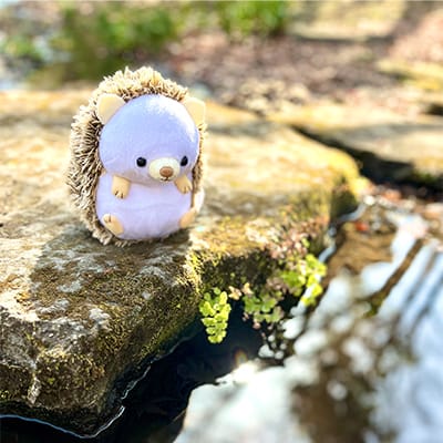 ギャラリーアイテム02