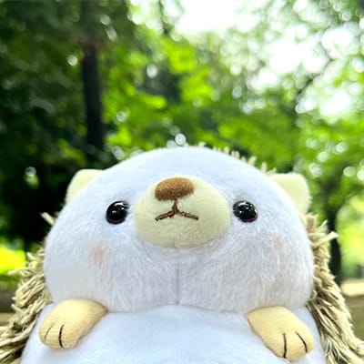 ギャラリーアイテム04