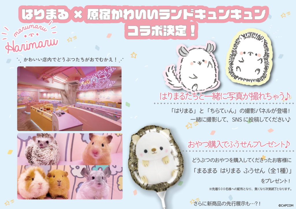 『はりまるフレンズ』たちが原宿へ遊びに来ました！癒しの『キュンキュンフレンズ』たちと一緒にみなさまのご来店をお待ちしております♪