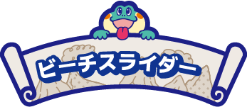 ビーチスライダー