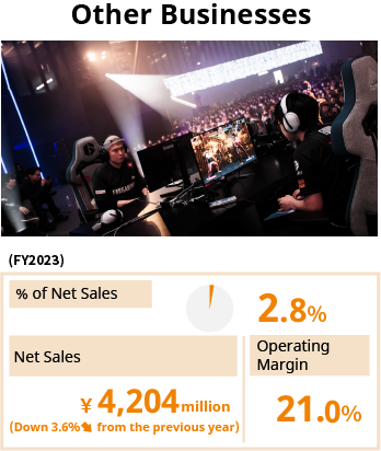 Other Businesses / % of Net Sales 2.8% / Net Sales 4,204 million yen (Down 3.5% from the previous year) / Operating Margin 21.0%