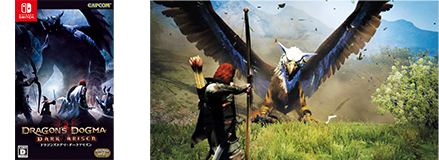 Dragon’s Dogma DARK ARISEN